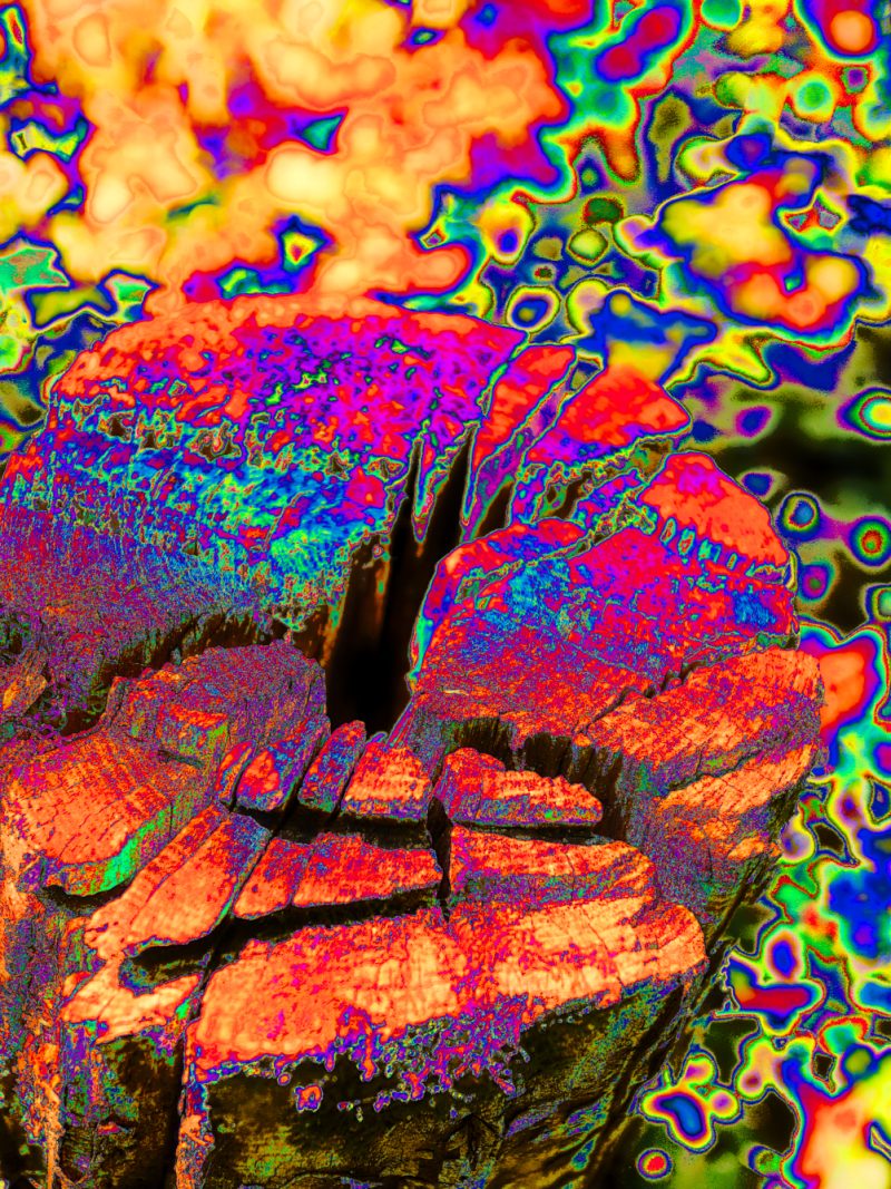 Pulsation sylvestre